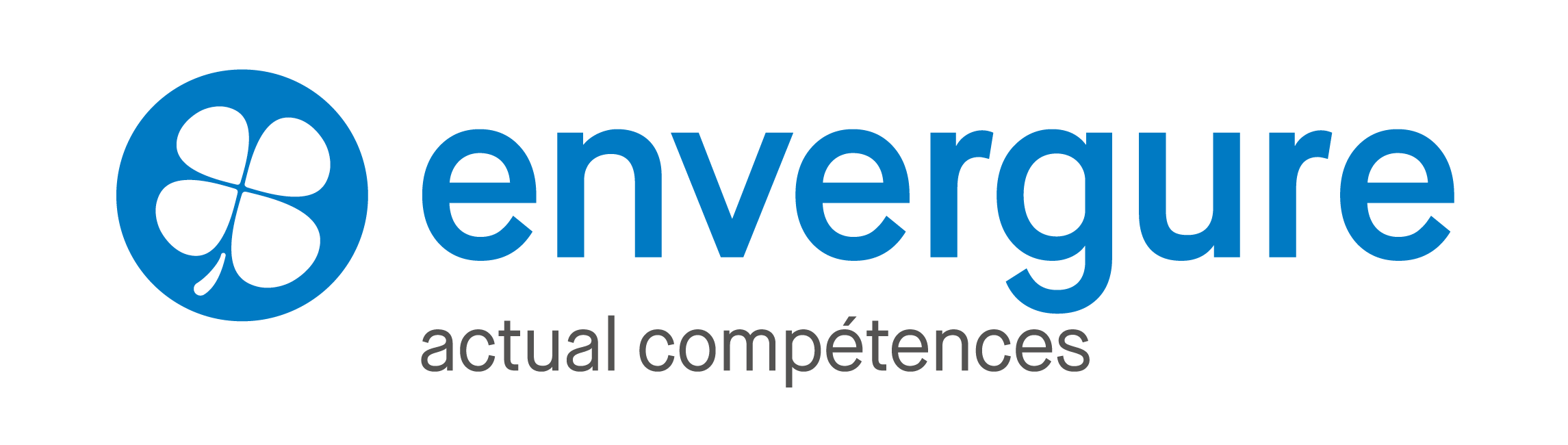 Envergure — Actual compétences